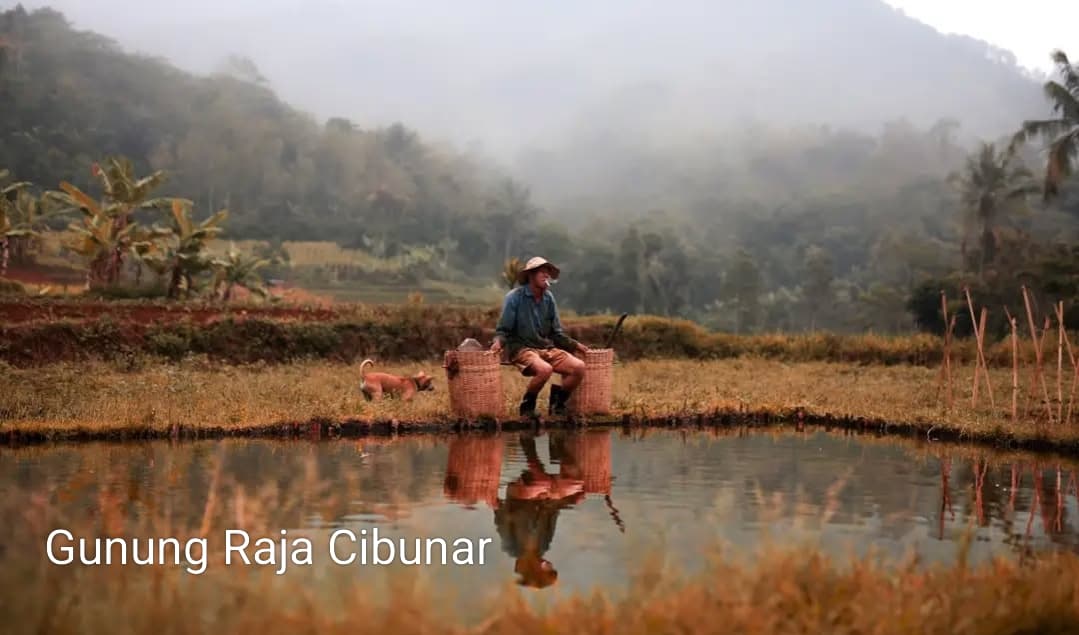 Di Antara Tanah dan Harapan: Kisah Petani Kecil Rancakalong
