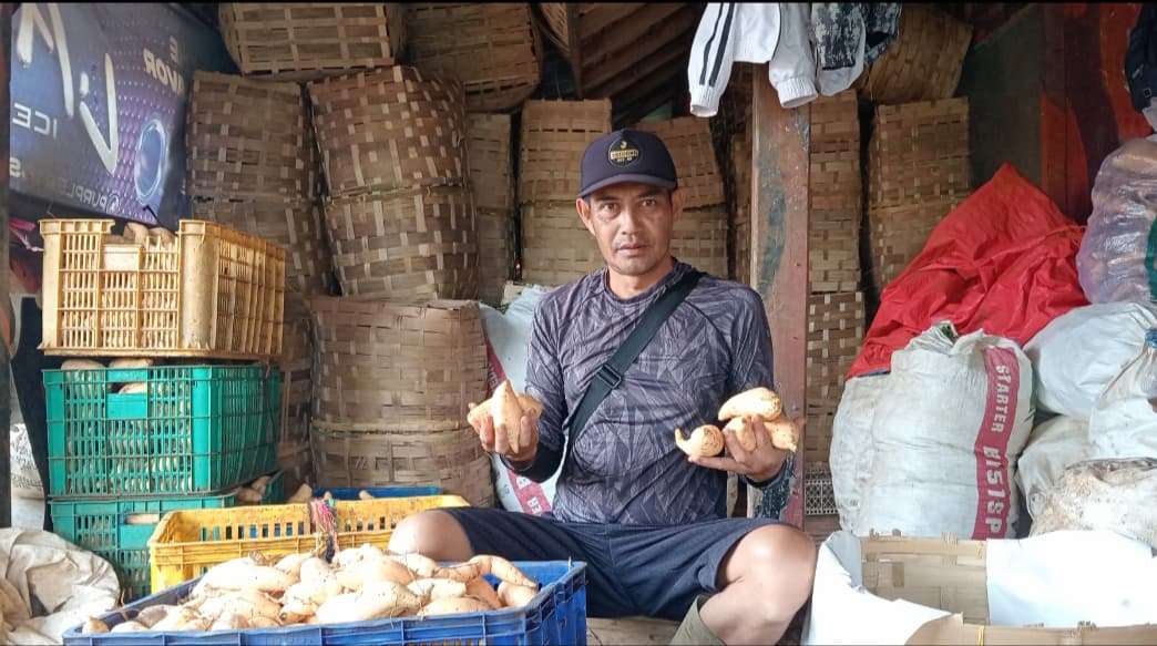 Ubi Rancakalong Menembus Nusantara: Kualitas Terbaik yang Semakin Diburu Pasar