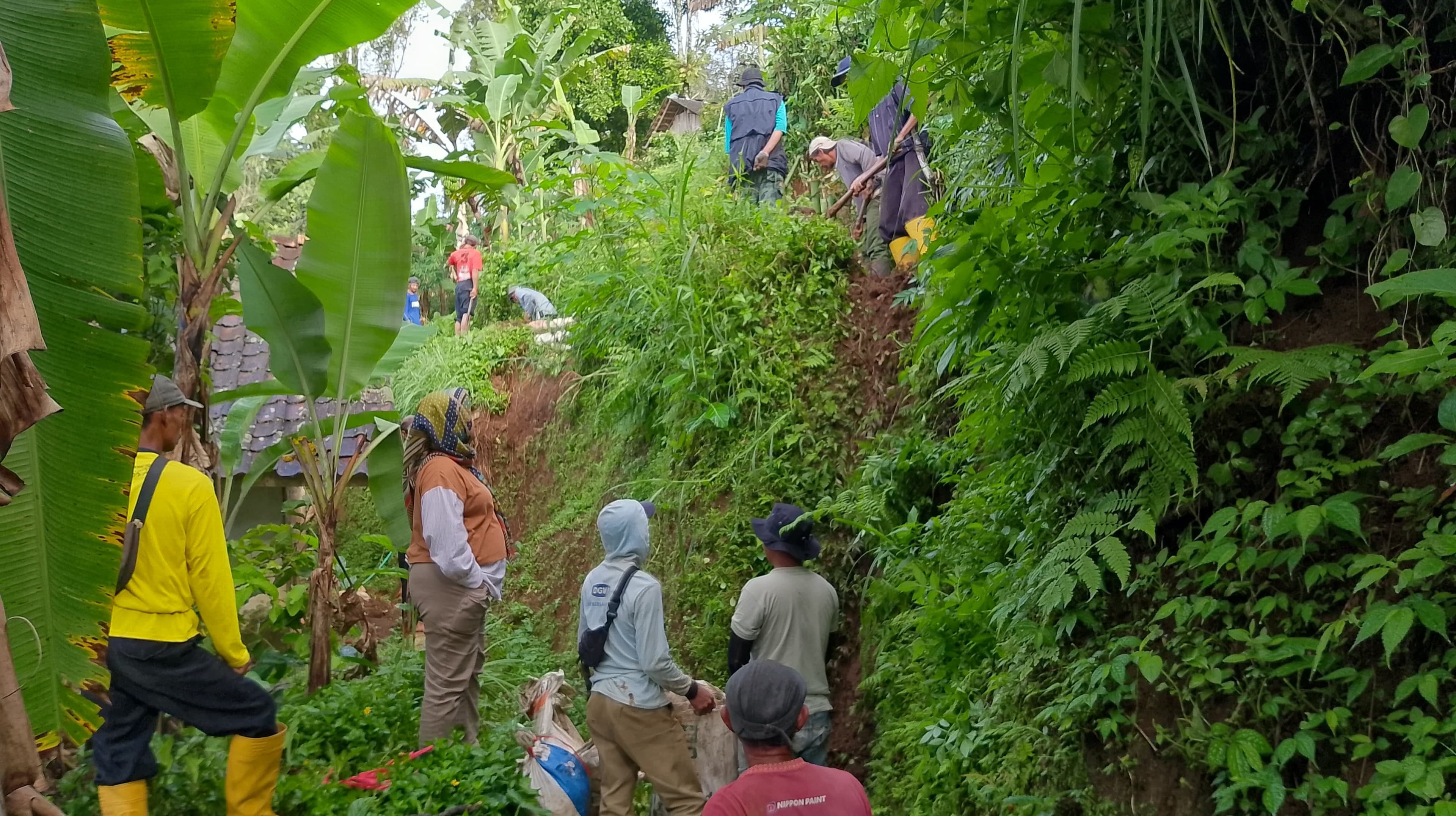 SOLUSI LOKAL HADAPI MUSIM HUJAN Saluran Cigadog–Sawah Pondok Kembali Difungsikan di Desa Pangadegan