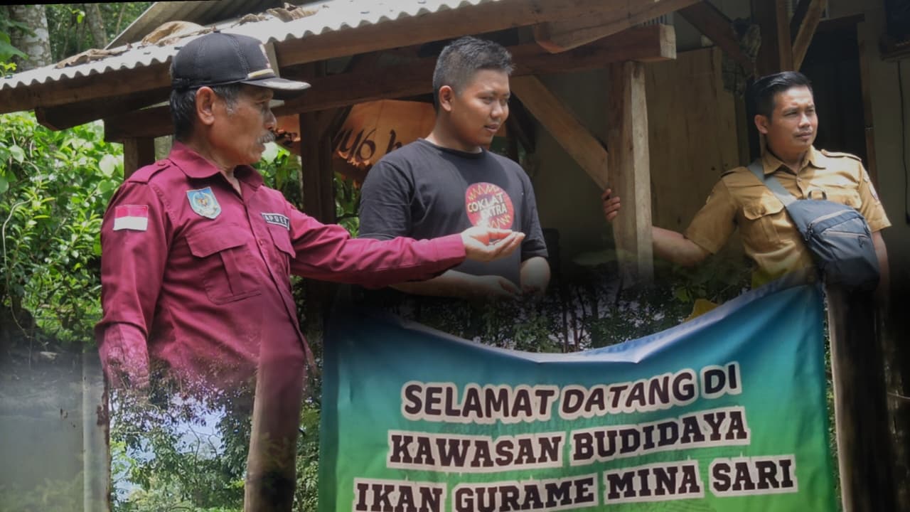 KUNJUNGAN KE KAWASAN BUDIDAYA IKAN GURAME MINA SARI